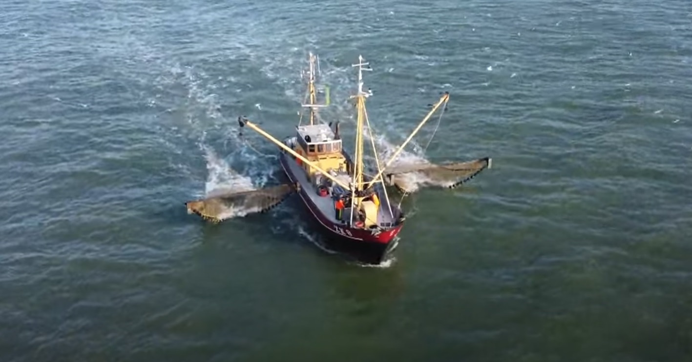 NieuwRechts in gesprek: Wat gebeurt er met onze vissers? - Visserij.nl