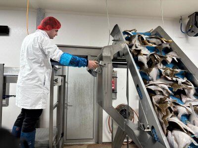 Image for twitter card